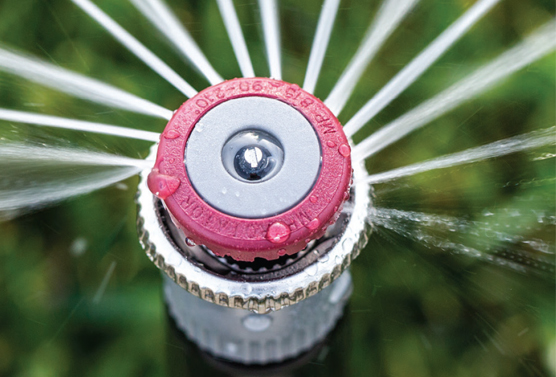 Does installing a sprinkler system ruin your lawn in New Zealand?